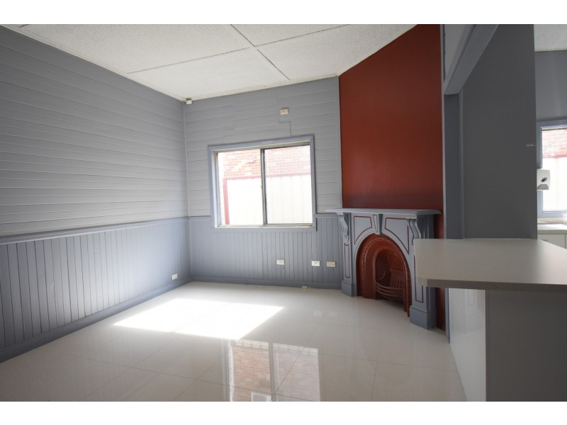 197 Canley Vale Road, Canley Heights NSW 2166