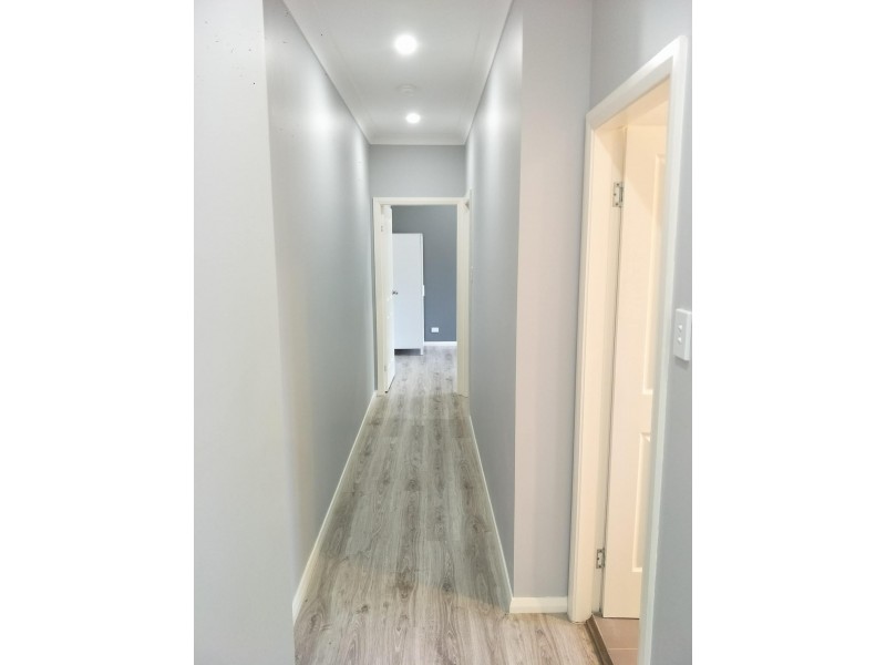 17 Vincent Crescent, Canley Vale NSW 2166