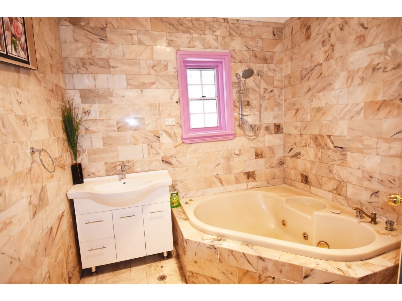 24 Moore Street, Canley Vale NSW 2166