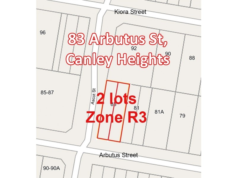 83a Arbutus Street, Canley Heights NSW 2166