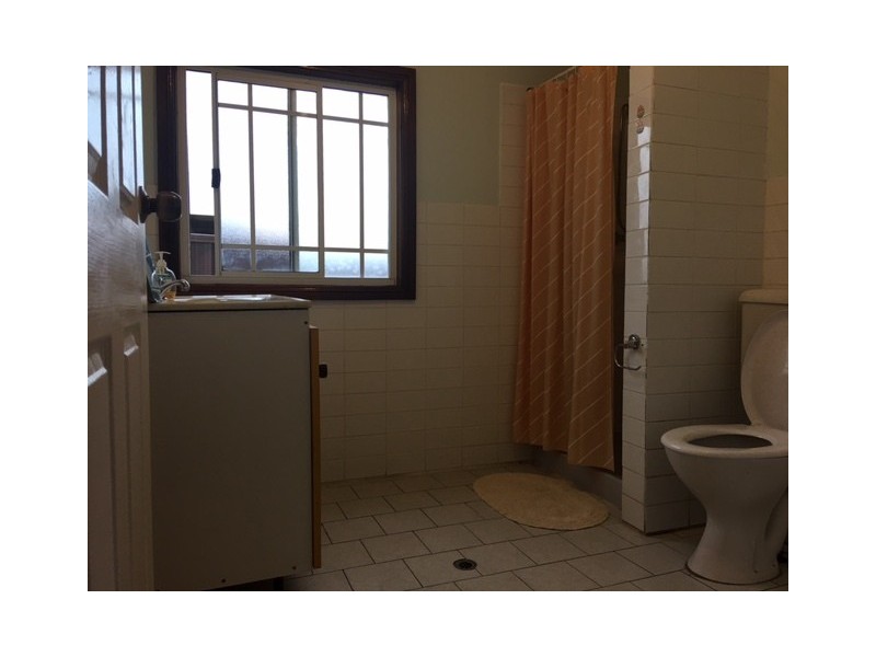 4 Fraser Road, Canley Vale NSW 2166