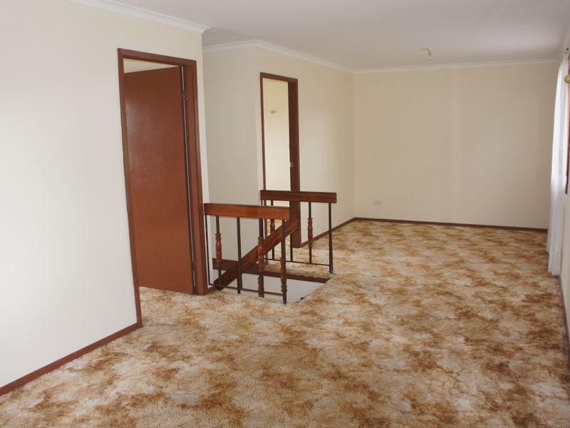 20 Byrd Street, Canley Heights NSW 2166