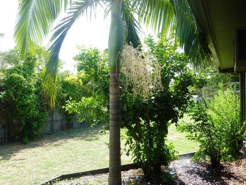 12 Bennett Court, Moranbah QLD 4744