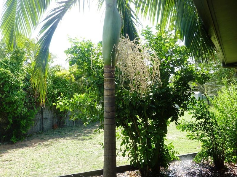 12 Bennett Court, Moranbah QLD 4744