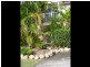 U15/10 Swan Street, Capalaba QLD 4157