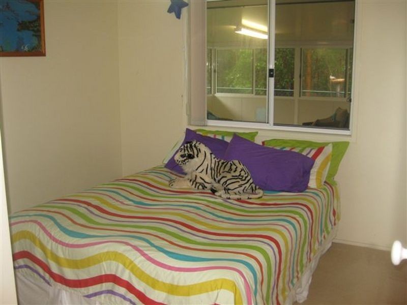 51 Spirit Drive, Capalaba QLD 4157