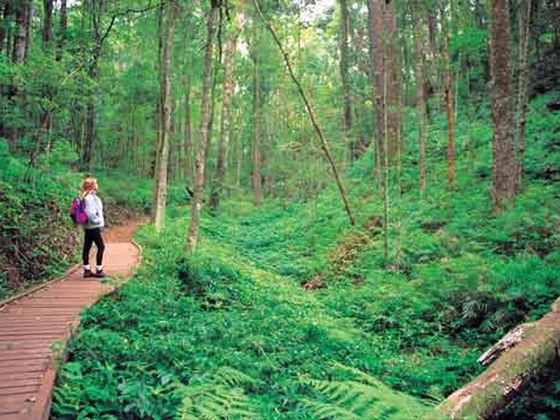 Kingaroy Security Patrol 128 Ivy Street, Kingaroy QLD 4610