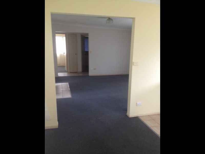 164 Finucane Road, Alexandra Hills QLD 4161