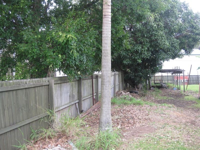 42 Curtis Street, Manly QLD 4179