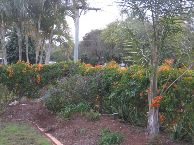 27 Amaryllis Street, Alexandra Hills QLD 4161