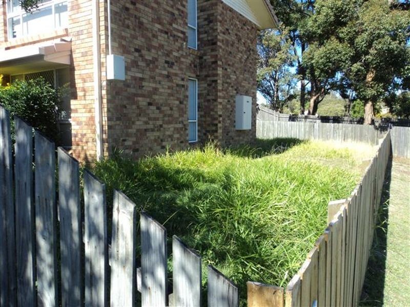 5/64 Abelia Street, Alexandra Hills QLD 4161