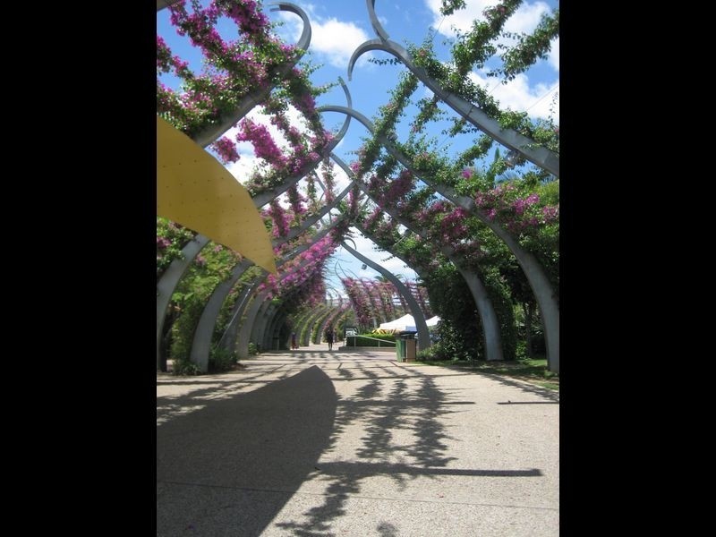 17/50 Lower River Terrace, South Brisbane QLD 4101