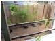 905E Manly Road, Tingalpa QLD 4173
