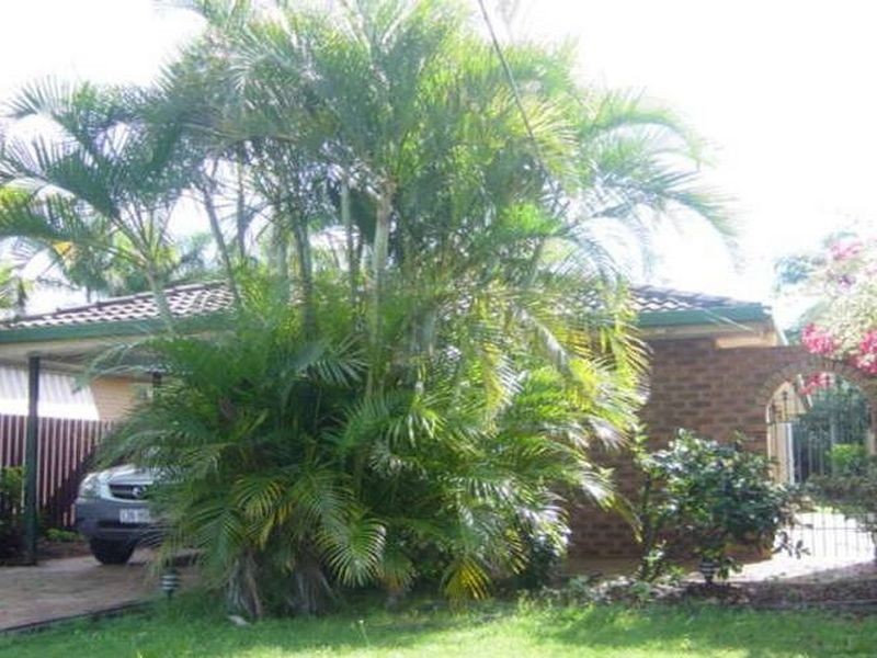 24 Duncan Street, Wellington Point QLD 4160