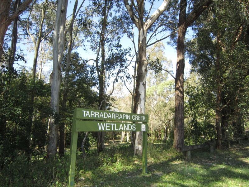 36 Sunnybay Drive, Birkdale QLD 4159