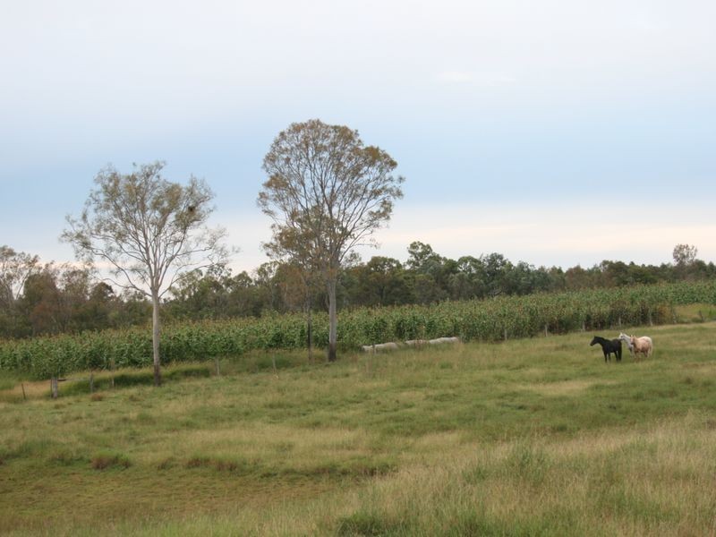 806 Roadvale-Harrisville Rd Milora Via, Harrisville QLD 4307
