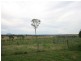 806 Roadvale-Harrisville Rd Milora Via, Harrisville QLD 4307