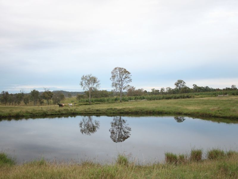 806 Roadvale-Harrisville Rd Milora Via, Harrisville QLD 4307
