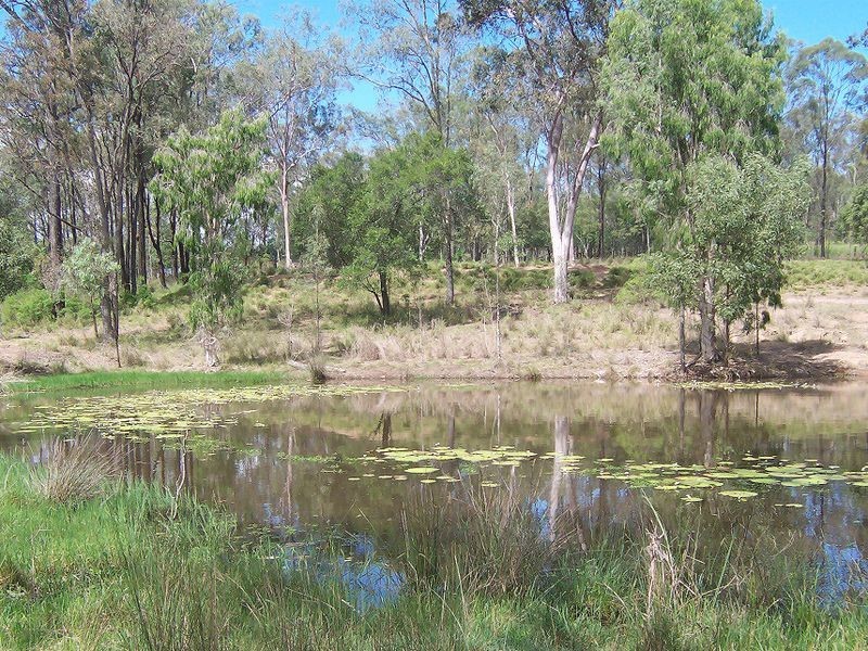 12 LAURETTE DRIVE, Glenore Grove QLD 4342