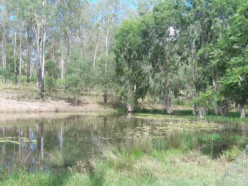 12 LAURETTE DRIVE, Glenore Grove QLD 4342