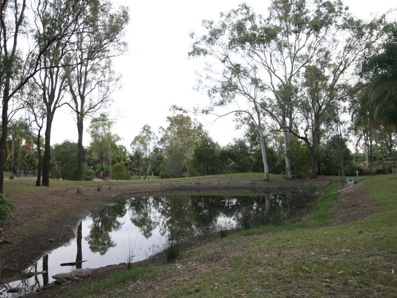 6 Birkwood Road, Coleyville QLD 4307