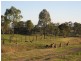 83 Chalk Street, Wulkuraka QLD 4305