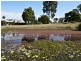 15 Thallon Road, Regency Downs QLD 4341