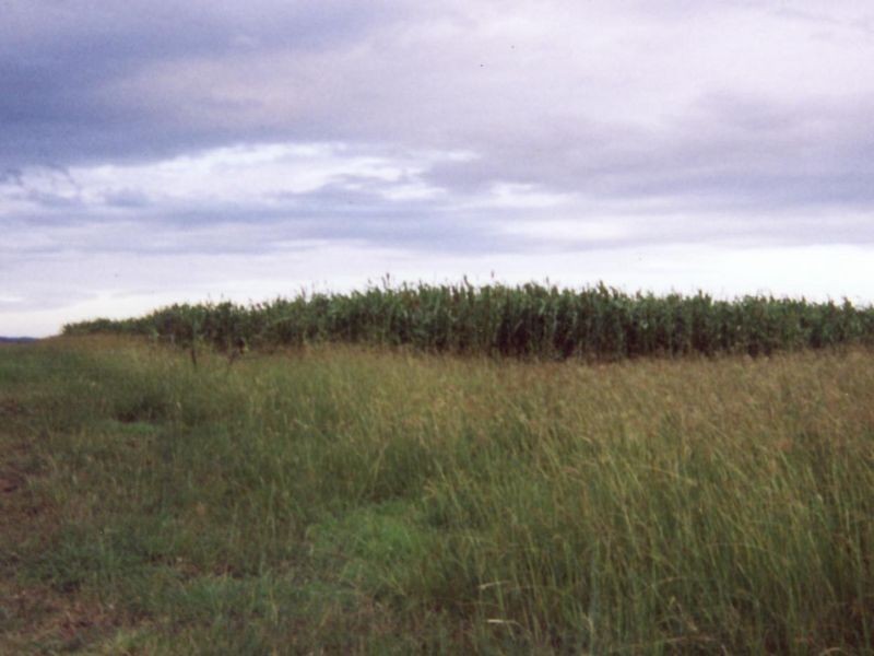 354 Mount Walker West Road, Calvert QLD 4340