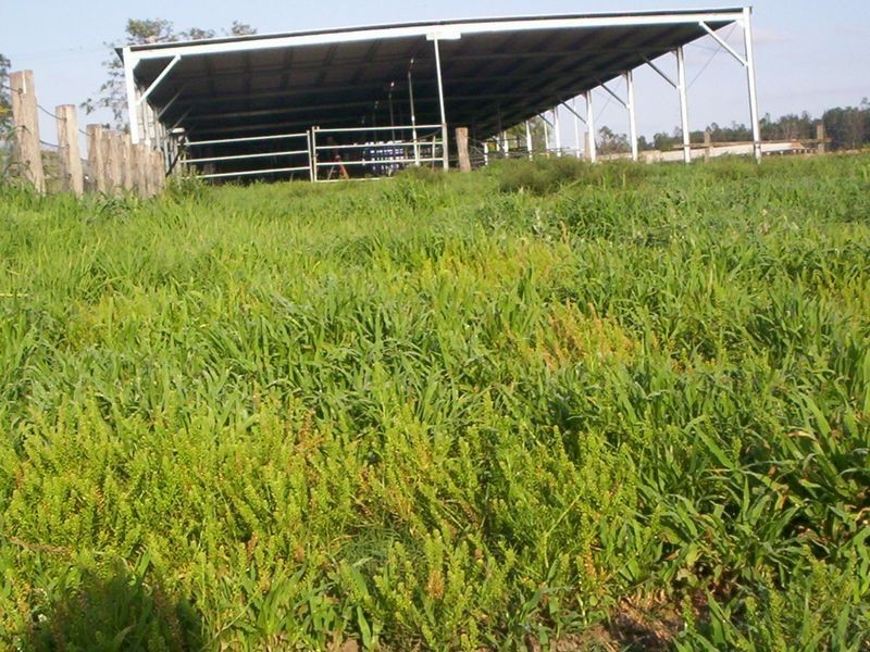354 Mount Walker West Road, Calvert QLD 4340