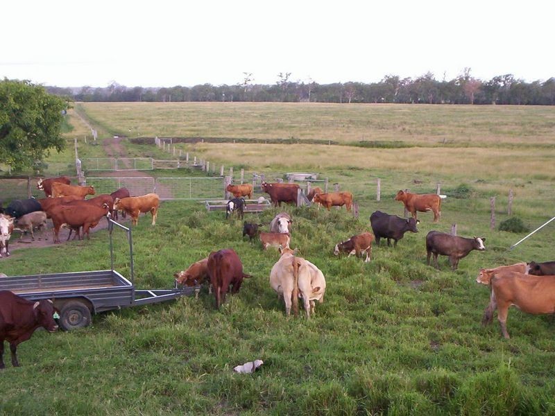 354 Mount Walker West Road, Calvert QLD 4340