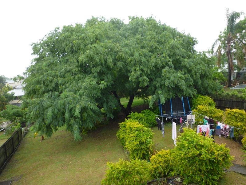 1 Raymond, North Ipswich QLD 4305