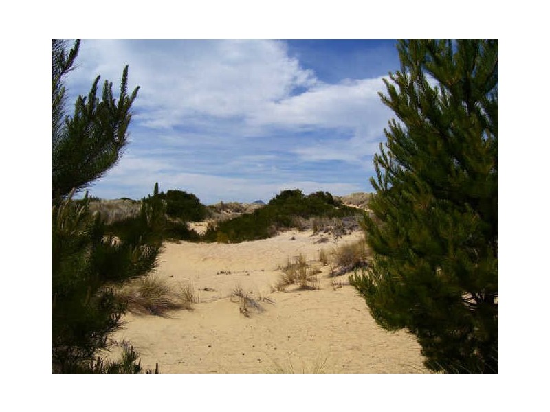 6 Yellow Sandbanks Road, Dolphin Sands TAS 7190