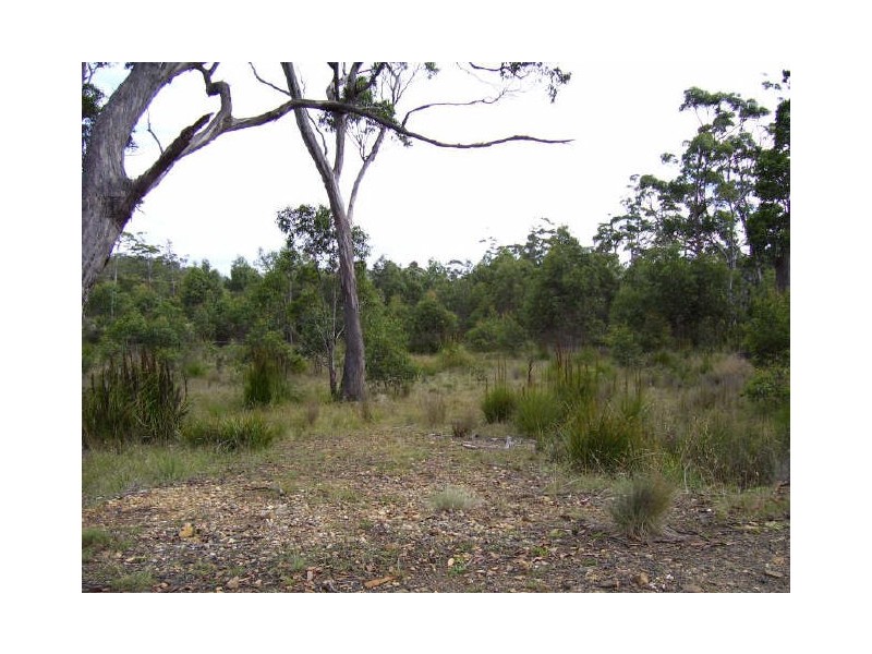 34 Brewis Place, Lake Leake TAS 7210