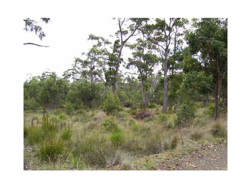 34 Brewis Place, Lake Leake TAS 7210