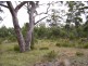 34 Brewis Place, Lake Leake TAS 7210