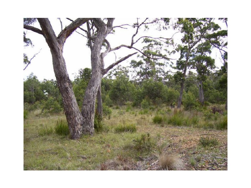 34 Brewis Place, Lake Leake TAS 7210