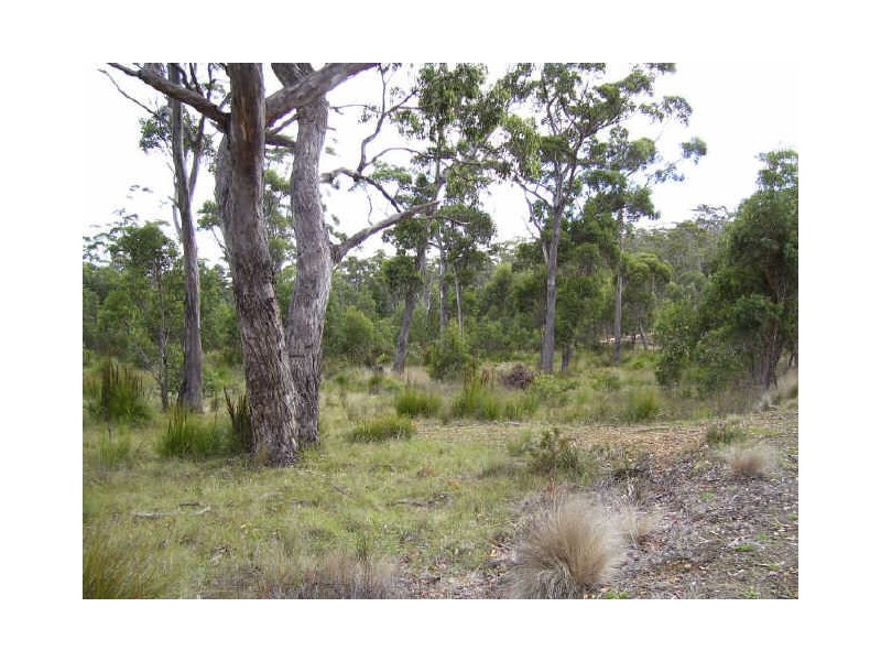 34 Brewis Place, Lake Leake TAS 7210