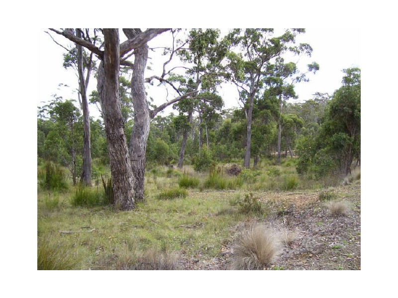 33 Brewis Place, Lake Leake TAS 7210