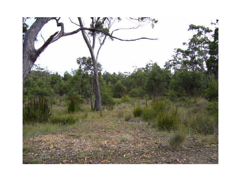 33 Brewis Place, Lake Leake TAS 7210