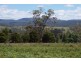 Lot 1 Tasman Highway, Little Swanport TAS 7190