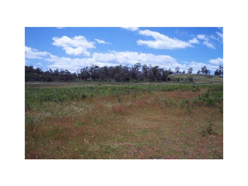 Lot 1 Tasman Highway, Little Swanport TAS 7190