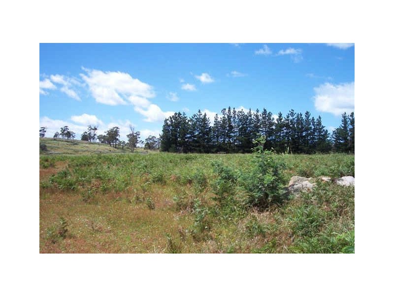 Lot 1 Tasman Highway, Little Swanport TAS 7190