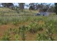 Lot 1 Tasman Highway, Little Swanport TAS 7190