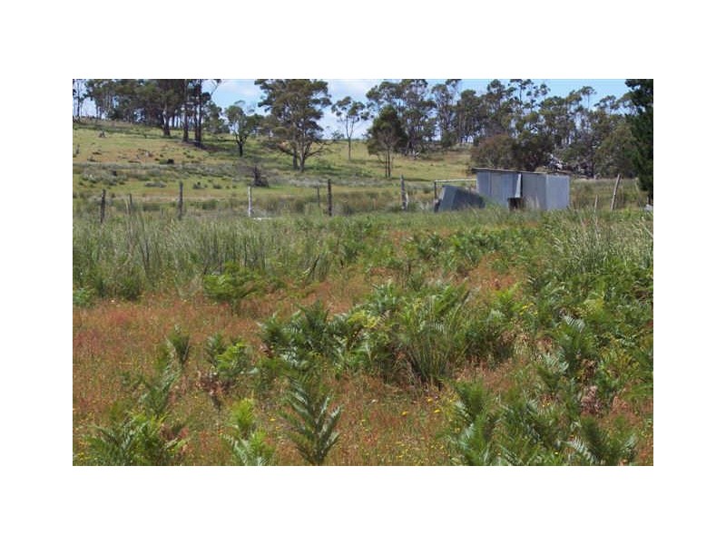 Lot 1 Tasman Highway, Little Swanport TAS 7190