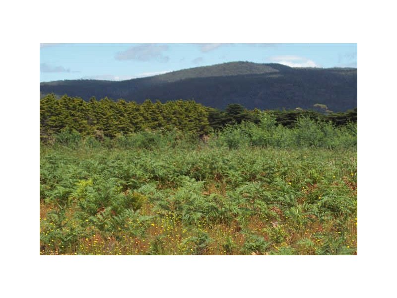Lot 1 Tasman Highway, Little Swanport TAS 7190