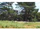 Lot 1 Tasman Highway, Little Swanport TAS 7190
