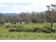Lot 1 Tasman Highway, Little Swanport TAS 7190