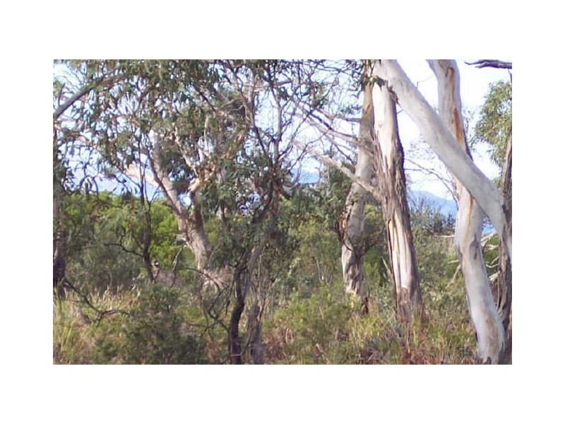 71 Cambria Drive, Dolphin Sands TAS 7190