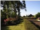 50 Gordon Street, Swansea TAS 7190