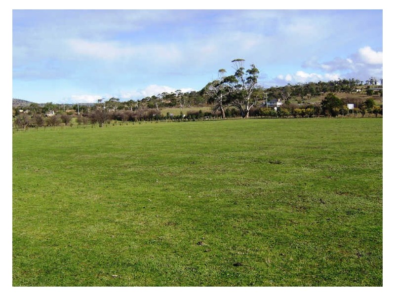 50 Gordon Street, Swansea TAS 7190